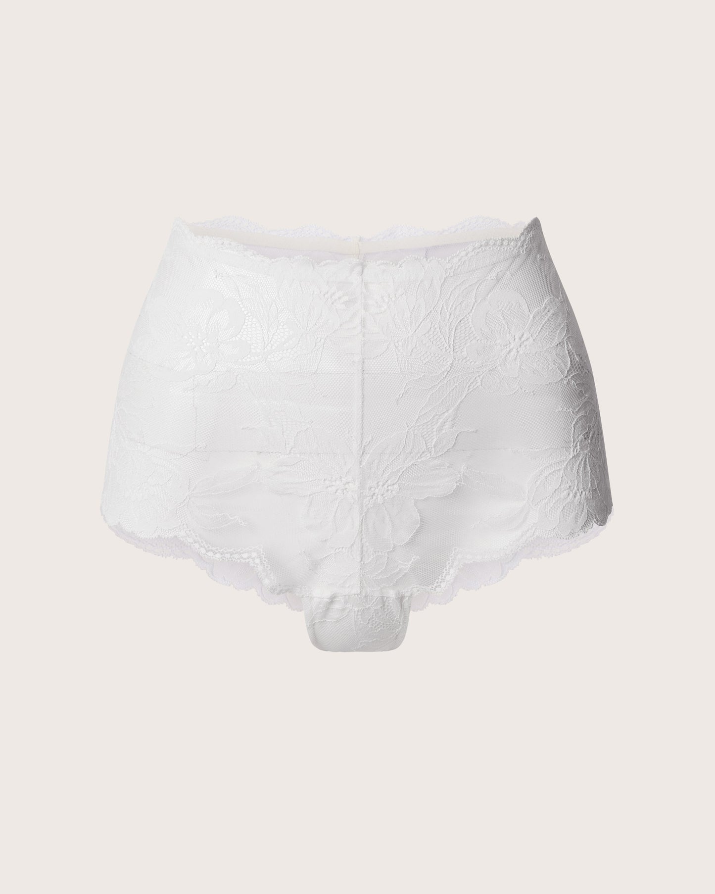 Invisibles Lace High Waist Knickers