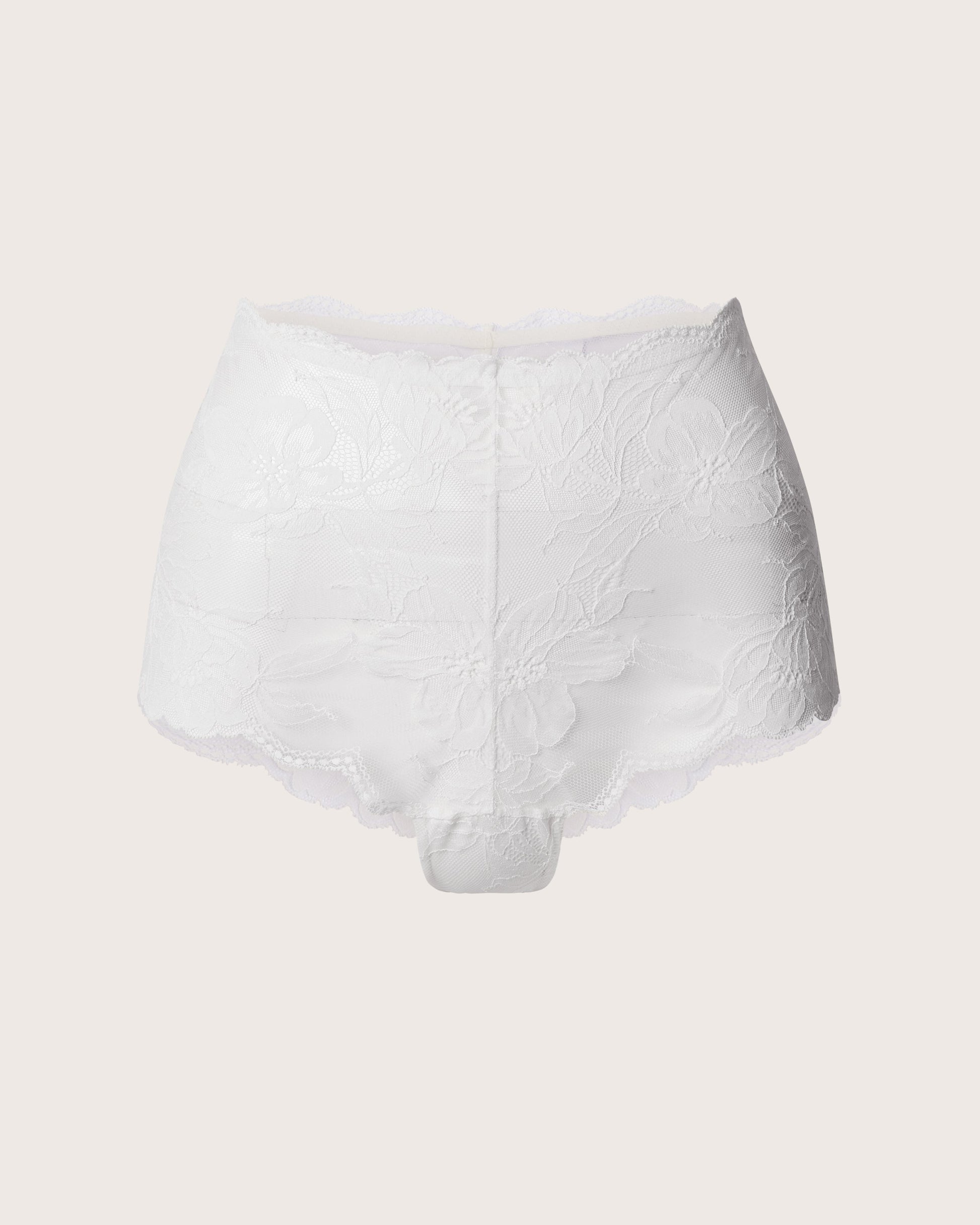 Invisibles Lace High Waist Knickers